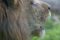 Cjp_2011_08_03_080133 (1).jpg